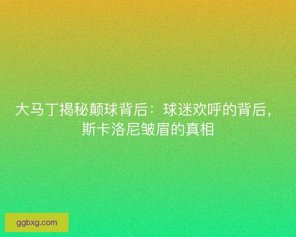 大马丁揭秘颠球背后：球迷欢呼的背后，斯卡洛尼皱眉的真相