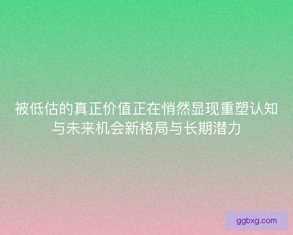被低估的真正价值正在悄然显现重塑认知与未来机会新格局与长期潜力