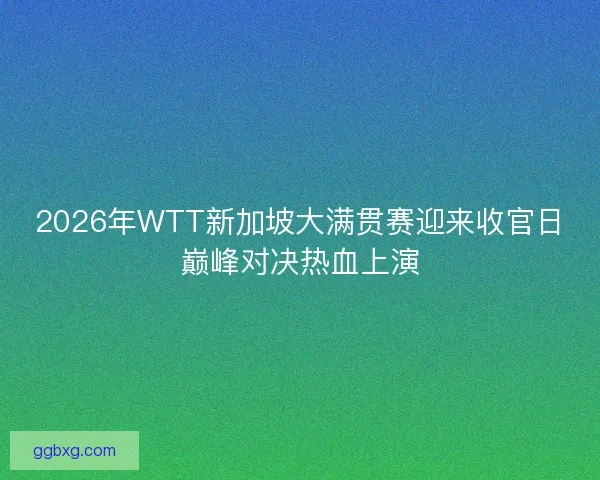 2026年WTT新加坡大满贯赛迎来收官日巅峰对决热血上演