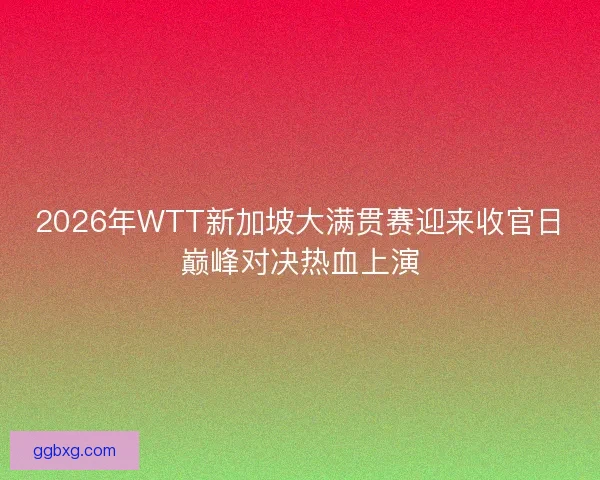 2026年WTT新加坡大满贯赛迎来收官日巅峰对决热血上演