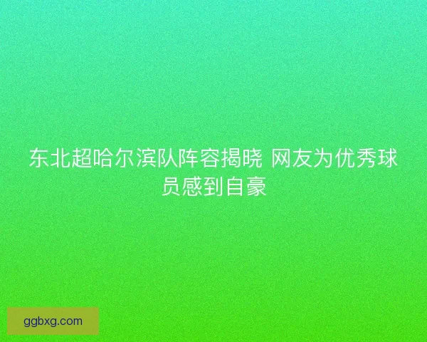 东北超哈尔滨队阵容揭晓 网友为优秀球员感到自豪